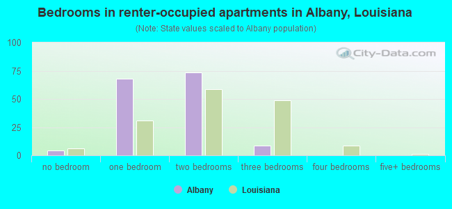 Bedrooms in renter-occupied apartments in Albany, Louisiana