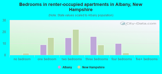 Bedrooms in renter-occupied apartments in Albany, New Hampshire