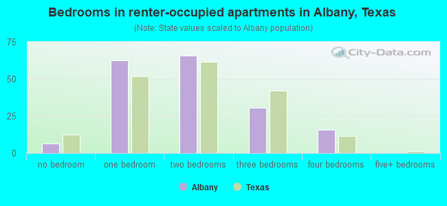 Bedrooms in renter-occupied apartments in Albany, Texas