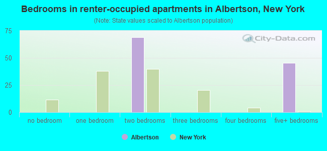 Bedrooms in renter-occupied apartments in Albertson, New York