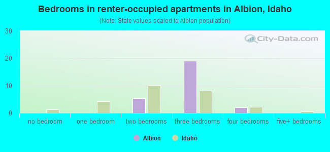 Bedrooms in renter-occupied apartments in Albion, Idaho