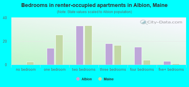 Bedrooms in renter-occupied apartments in Albion, Maine