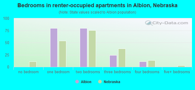 Bedrooms in renter-occupied apartments in Albion, Nebraska