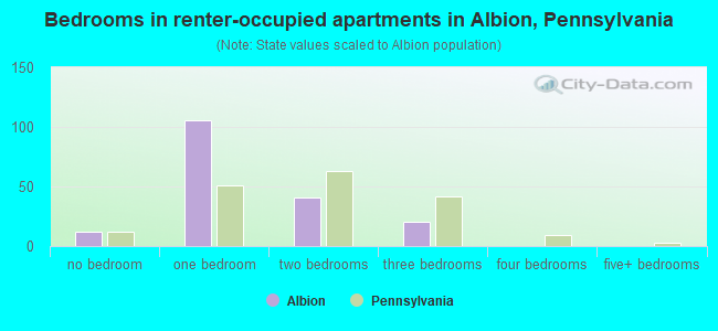 Bedrooms in renter-occupied apartments in Albion, Pennsylvania
