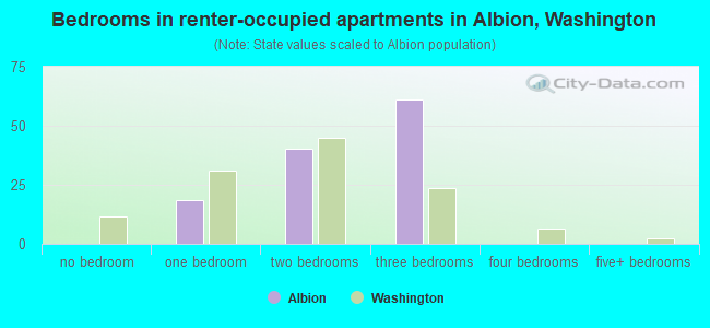 Bedrooms in renter-occupied apartments in Albion, Washington