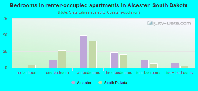 Bedrooms in renter-occupied apartments in Alcester, South Dakota