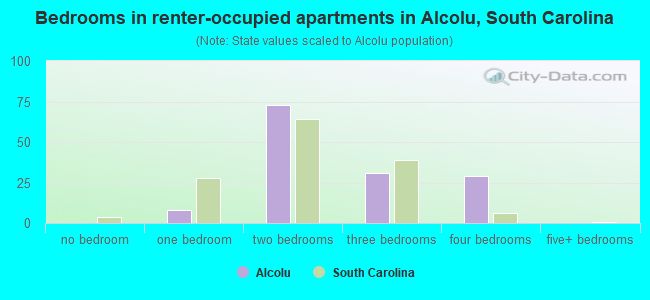 Bedrooms in renter-occupied apartments in Alcolu, South Carolina