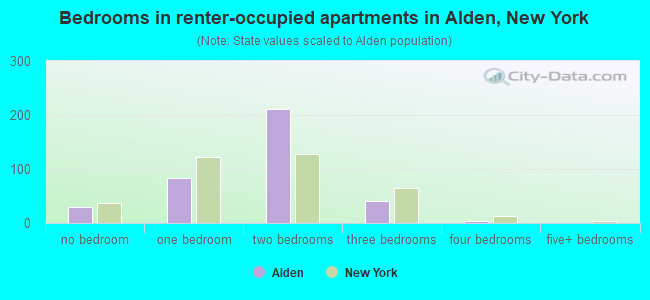 Bedrooms in renter-occupied apartments in Alden, New York