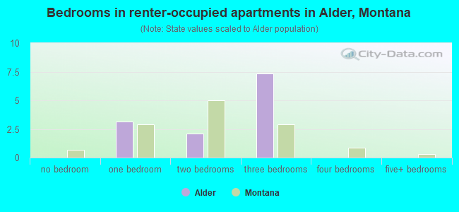 Bedrooms in renter-occupied apartments in Alder, Montana