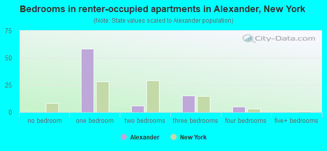 Bedrooms in renter-occupied apartments in Alexander, New York