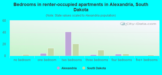 Bedrooms in renter-occupied apartments in Alexandria, South Dakota