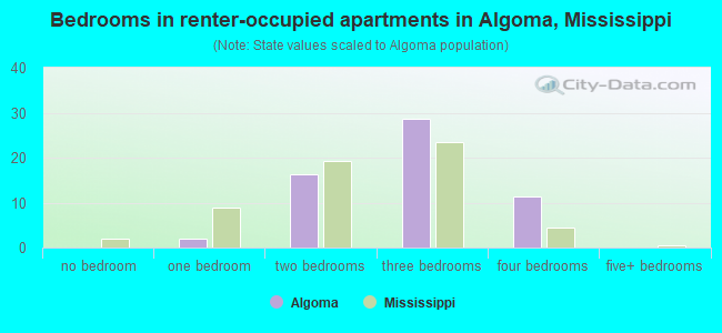Bedrooms in renter-occupied apartments in Algoma, Mississippi