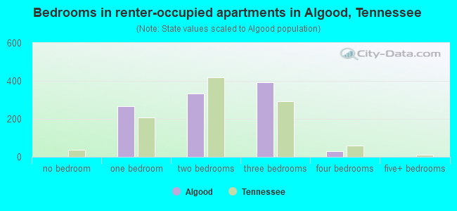Bedrooms in renter-occupied apartments in Algood, Tennessee