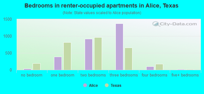 Bedrooms in renter-occupied apartments in Alice, Texas