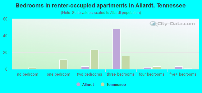 Bedrooms in renter-occupied apartments in Allardt, Tennessee