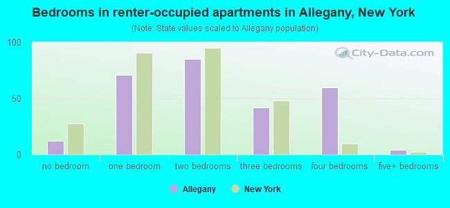 Bedrooms in renter-occupied apartments in Allegany, New York
