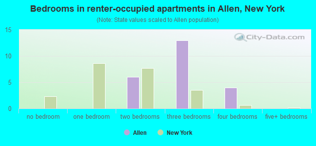 Bedrooms in renter-occupied apartments in Allen, New York