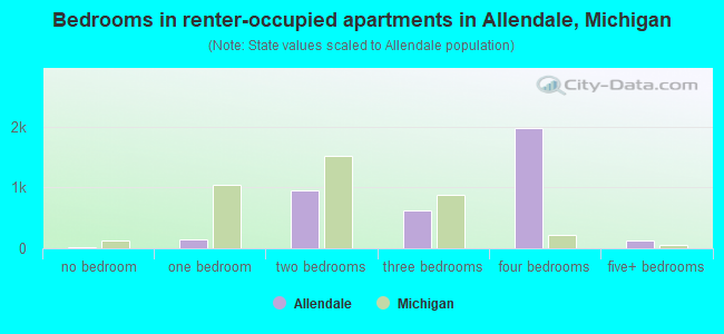 Bedrooms in renter-occupied apartments in Allendale, Michigan