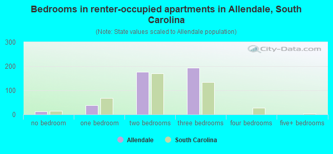 Bedrooms in renter-occupied apartments in Allendale, South Carolina