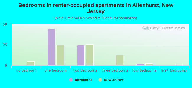 Bedrooms in renter-occupied apartments in Allenhurst, New Jersey