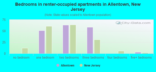 Bedrooms in renter-occupied apartments in Allentown, New Jersey