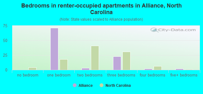 Bedrooms in renter-occupied apartments in Alliance, North Carolina