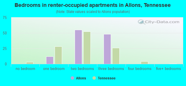 Bedrooms in renter-occupied apartments in Allons, Tennessee