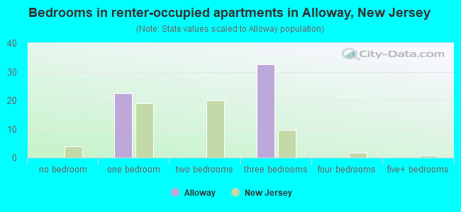 Bedrooms in renter-occupied apartments in Alloway, New Jersey