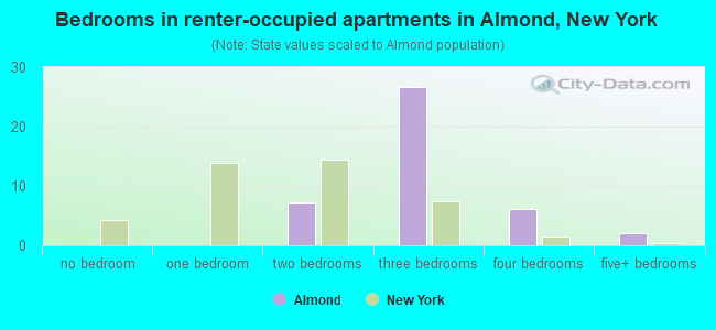 Bedrooms in renter-occupied apartments in Almond, New York