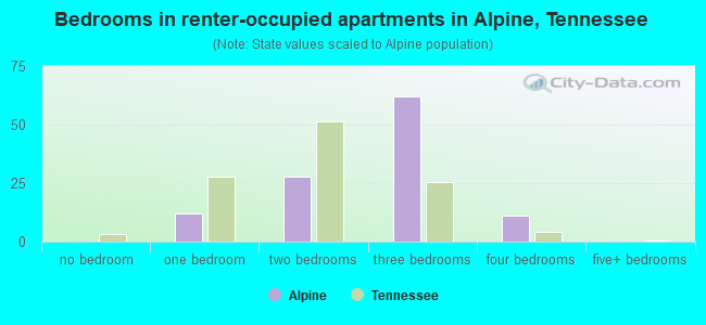 Bedrooms in renter-occupied apartments in Alpine, Tennessee