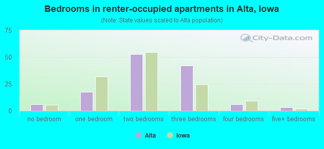 Bedrooms in renter-occupied apartments in Alta, Iowa