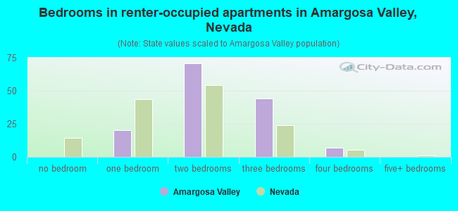 Bedrooms in renter-occupied apartments in Amargosa Valley, Nevada
