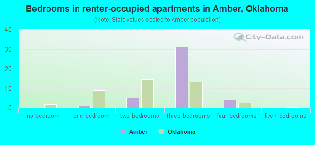 Bedrooms in renter-occupied apartments in Amber, Oklahoma