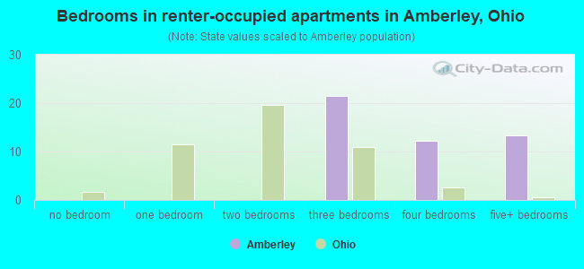 Bedrooms in renter-occupied apartments in Amberley, Ohio