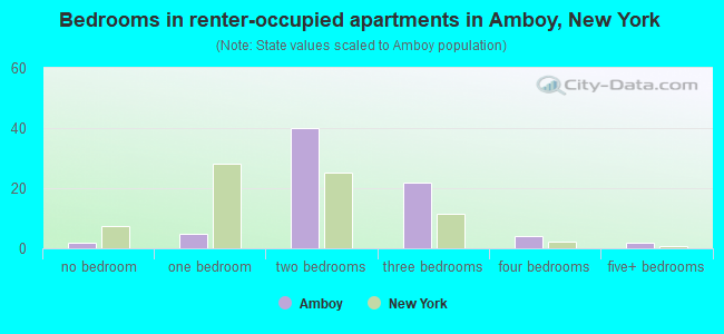 Bedrooms in renter-occupied apartments in Amboy, New York
