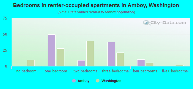 Bedrooms in renter-occupied apartments in Amboy, Washington