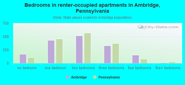 Bedrooms in renter-occupied apartments in Ambridge, Pennsylvania
