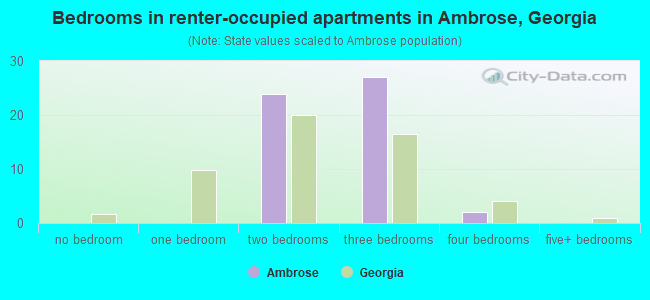 Bedrooms in renter-occupied apartments in Ambrose, Georgia