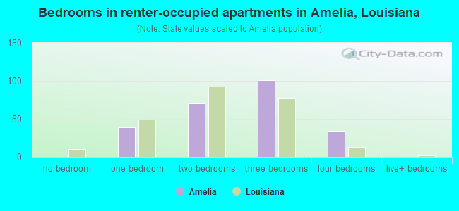 Bedrooms in renter-occupied apartments in Amelia, Louisiana