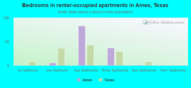 Bedrooms in renter-occupied apartments in Ames, Texas