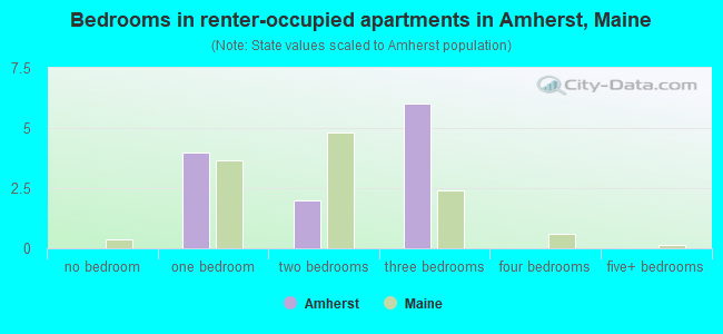 Bedrooms in renter-occupied apartments in Amherst, Maine