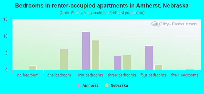 Bedrooms in renter-occupied apartments in Amherst, Nebraska