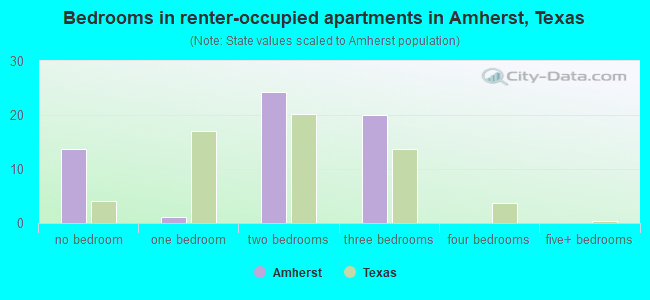Bedrooms in renter-occupied apartments in Amherst, Texas