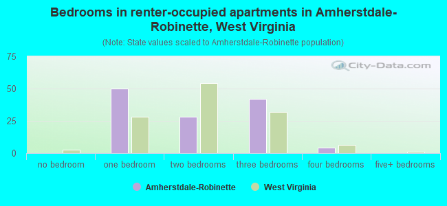 Bedrooms in renter-occupied apartments in Amherstdale-Robinette, West Virginia