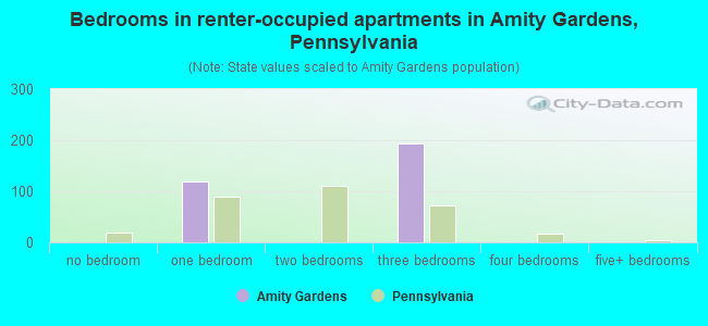 Bedrooms in renter-occupied apartments in Amity Gardens, Pennsylvania