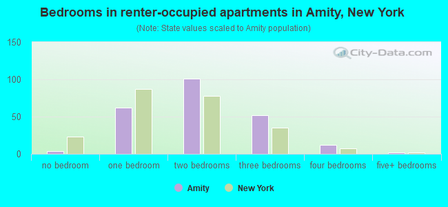 Bedrooms in renter-occupied apartments in Amity, New York