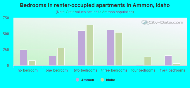 Bedrooms in renter-occupied apartments in Ammon, Idaho