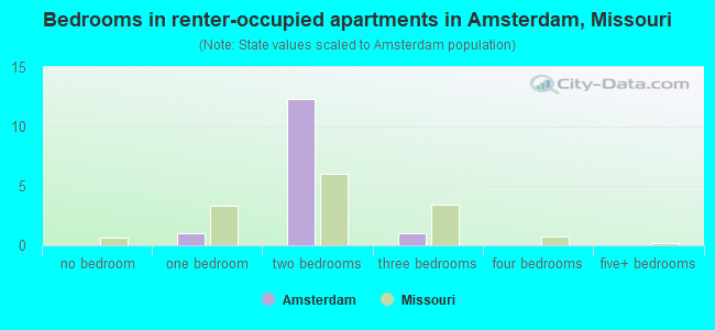 Bedrooms in renter-occupied apartments in Amsterdam, Missouri