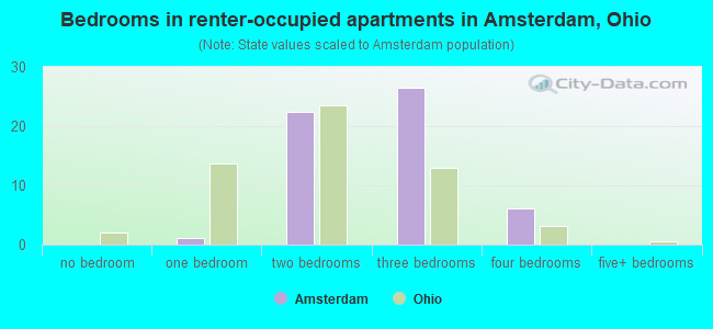 Bedrooms in renter-occupied apartments in Amsterdam, Ohio