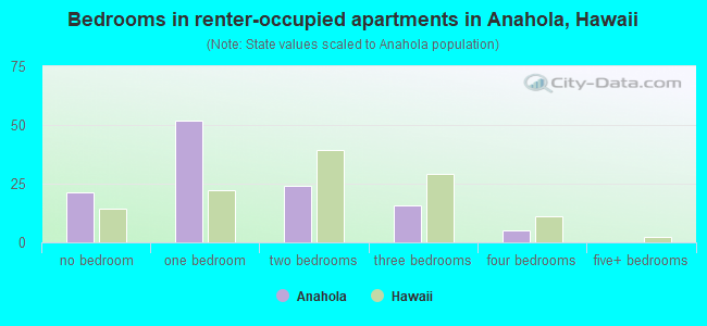 Bedrooms in renter-occupied apartments in Anahola, Hawaii